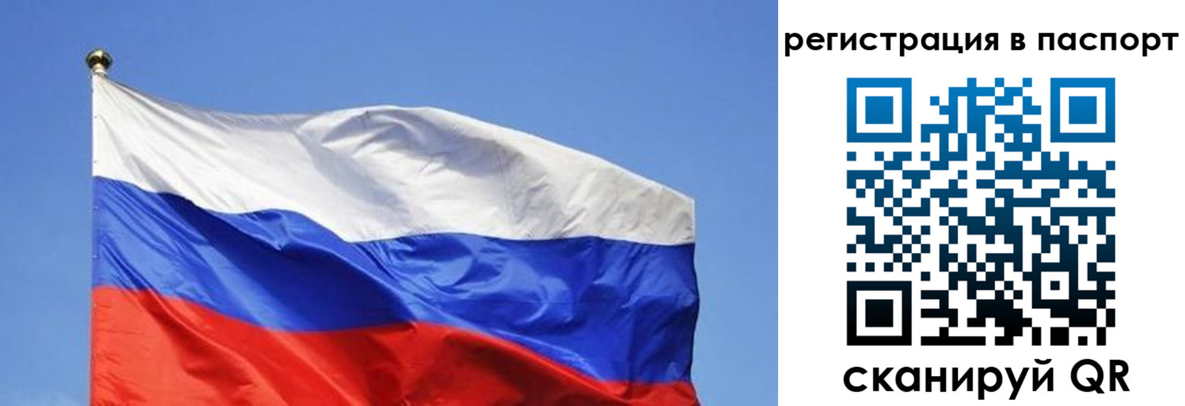 прописка в квартире в Волхове